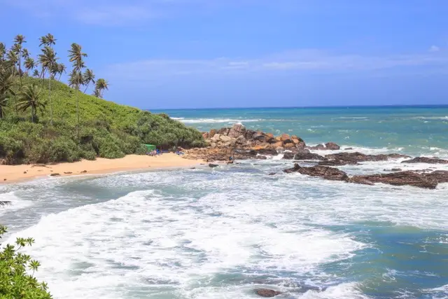 Top 5 Must-Visit Places in Sri Lanka